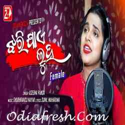 Jhari Jae Luha Mo Akhiru - Female